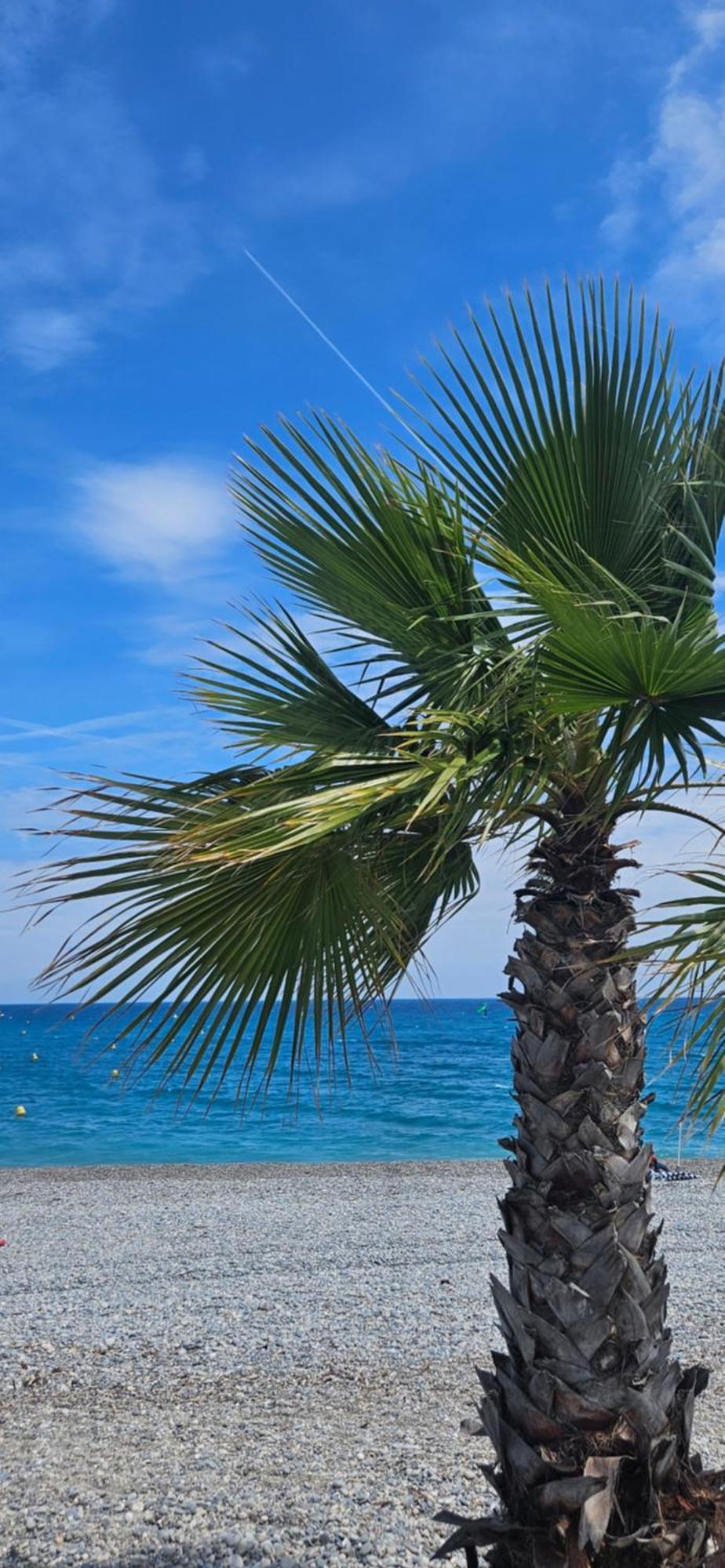 Studio Saint-Laurent-Du-Var Bord De Mer Экстерьер фото